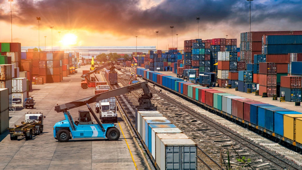 Growing Beyond Borders: The Preciouss Import & Exports Journey