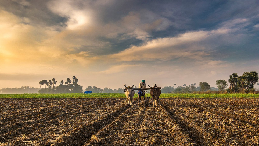 How to Choose the Right Supplier for Your Business: 6 Key Factors to Consider